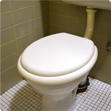 Everbrite Toilet Seat